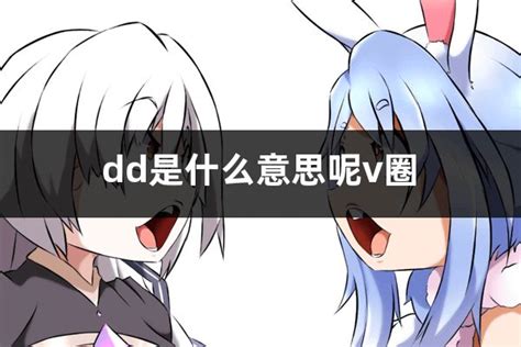 dd 意思